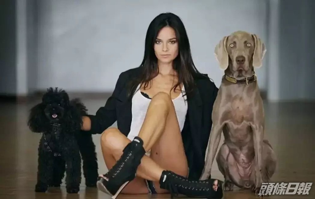 宋仲基於今年9月已公開感謝女友及其寵物。